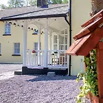 The Monkey Puzzle * Bunclody