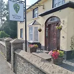 The Monkey Puzzle *