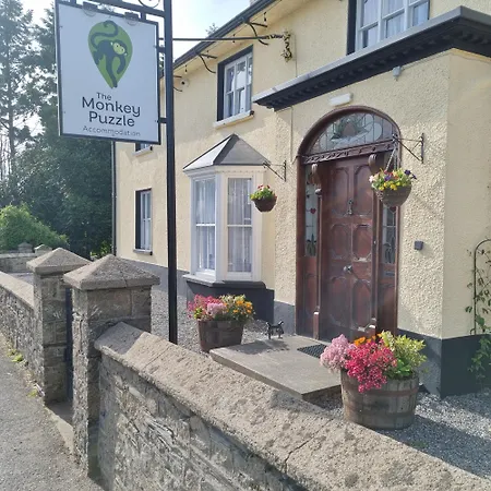 The Monkey Puzzle Bunclody