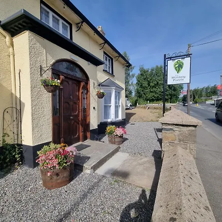 The Monkey Puzzle Bunclody