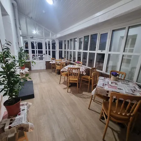 Guest house The Monkey Puzzle