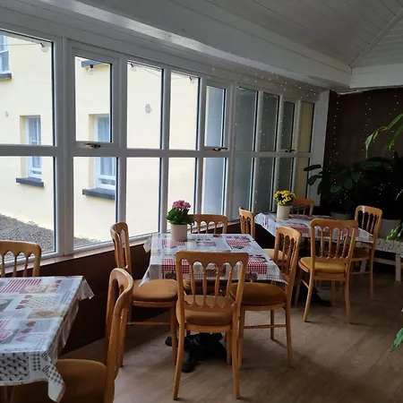 The Monkey Puzzle Pensjonat Bunclody