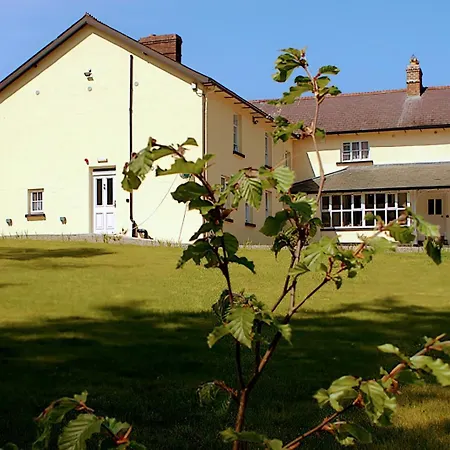 The Monkey Puzzle بيت ضيافة