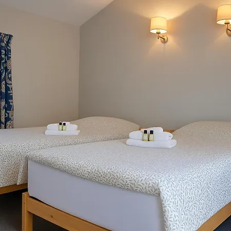 The Monkey Puzzle * بونكلودي