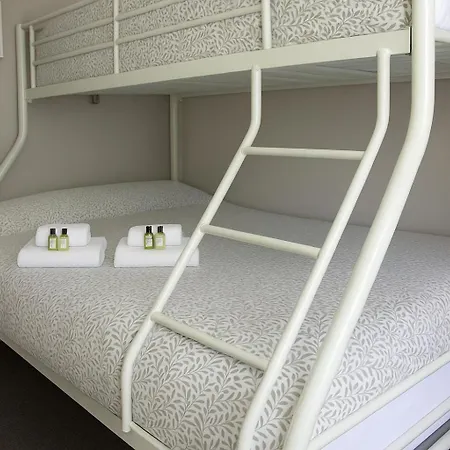 The Monkey Puzzle بيت ضيافة