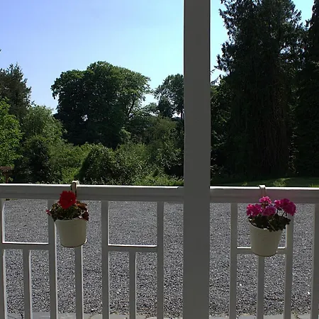 بيت ضيافة The Monkey Puzzle بونكلودي