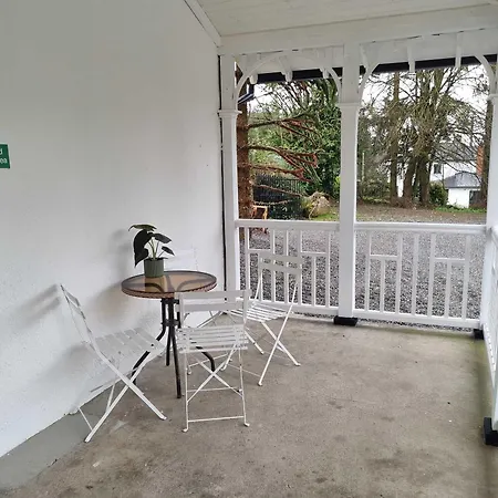 The Monkey Puzzle * Bunclody