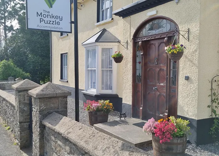 The Monkey Puzzle Bunclody