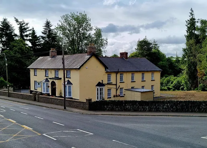 Гостевой дом The Monkey Puzzle Банклоди