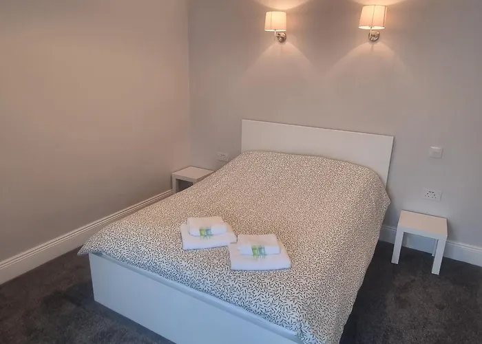 The Monkey Puzzle * Bunclody