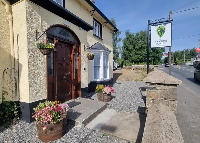 The Monkey Puzzle Банклоди