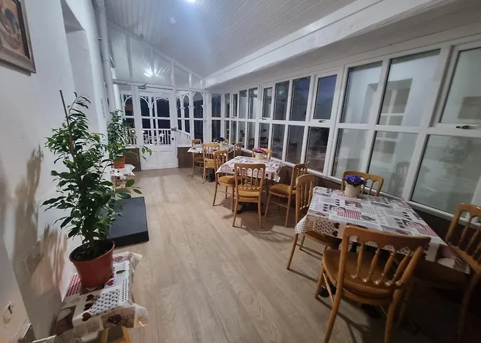 Pensjonat The Monkey Puzzle