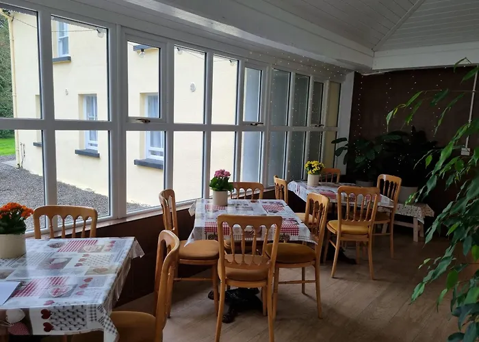 The Monkey Puzzle Pensjonat Bunclody