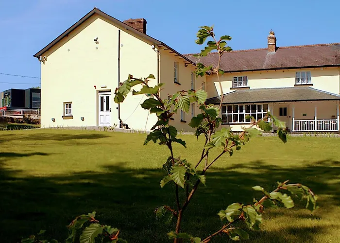 The Monkey Puzzle Konukevi