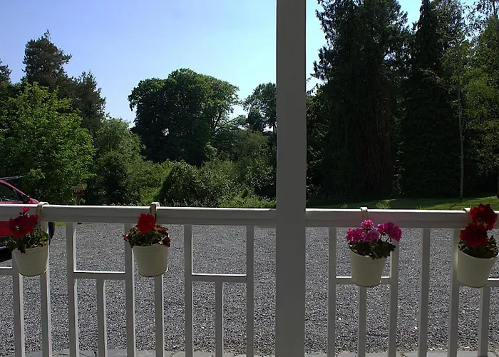 Konukevi The Monkey Puzzle Bunclody