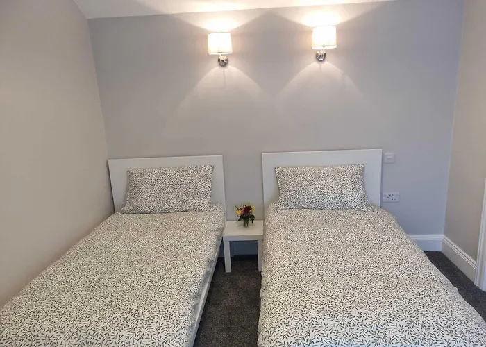 The Monkey Puzzle Pensjonat Bunclody